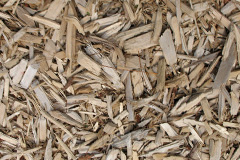 biomass boilers Guildy